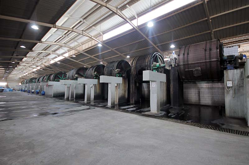 Leather Dyeing