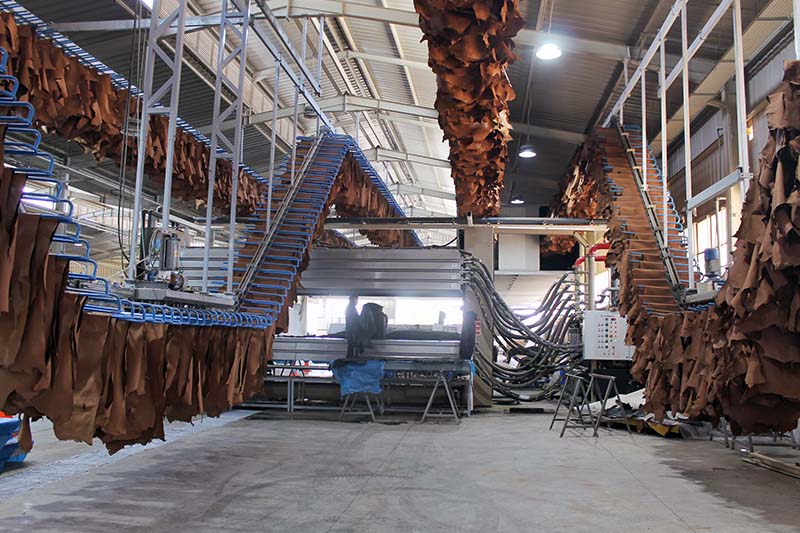 Leather Drying